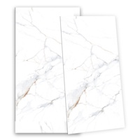 Carreaux de sol et de mur en porcelaine émaillée entièrement polie 60x120cm - Design moderne pour salle de bain et intérieur d'appartement