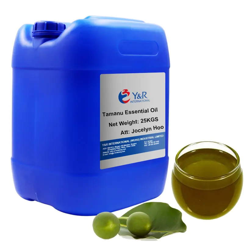 100% reines natürliches ätherisches Öl Tamanu-Öl kalt gepresster Bio-Großhandel für die Haut haarpflege