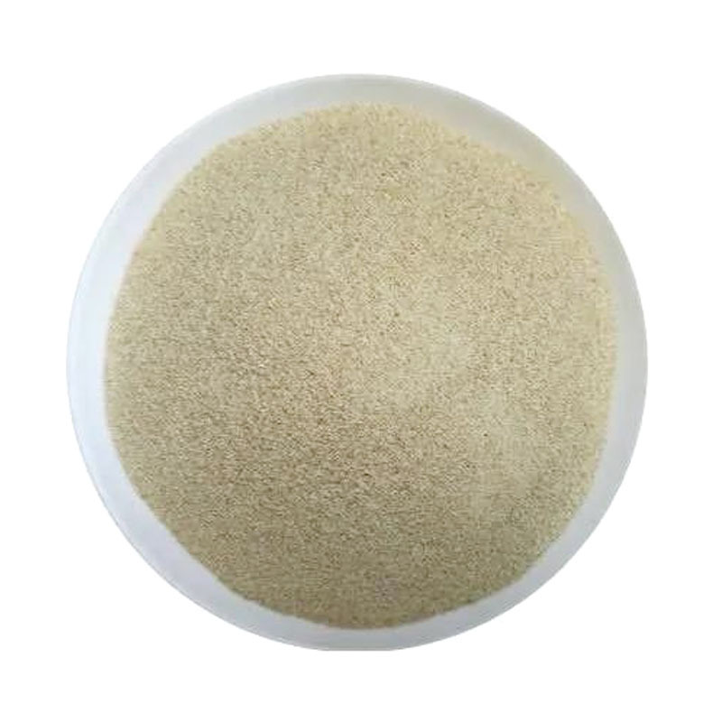 High Quality Sodium Alginate Food Industry