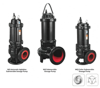 Pompe de relevage des eaux usées série WQ 3HP, 30m³/h, avec turbine en acier inoxydable 304, pompe de drainage submersible, calibre 50mm pour le relevage des eaux usées et des eaux de vidange