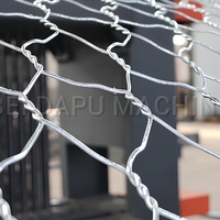 Machine à mailles de gabions CNC automatique avec contrôle PLC et écran tactile pour la production de boîtes de gabions DAPU