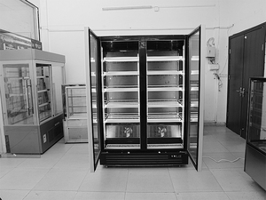 <span class=keywords><strong>Frigidaire</strong></span> réfrigérateur pepsi à double porte congélateur commercial congélateur 2 portes réfrigérateur refroidi par air - Product Image 2
