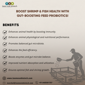 Complément Probiotique pour l'Équilibre Intestinal et la Santé des Poissons - Additifs Alimentaires - Product Image 1