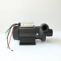 Pompe à eau solaire de surface 1 pouce 48V-150V pour l'agriculture, pompe d'irrigation haute pression, machine à eau solaire