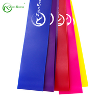 Zhensheng vente en gros personnalisé élastique TPE bande de résistance bandes de traction bandes de boucle extensible pour exercices Gym Fitness