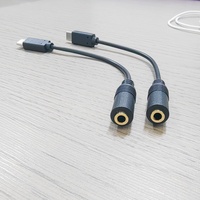 Câble de connexion audio microphone Type-C vers TRRS femelle