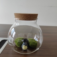 Mini terrarium en verre avec bouchon en bois et lumière LED pour la décoration de la maison, mini vase sphérique en mousse naturelle pour table