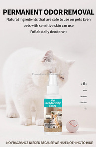 <span class=keywords><strong>Spray</strong></span> Désodorisant Super Efficace pour Animaux de Compagnie, Direct Usine, Rapide et Facile, Élimine les Mauvaises Odeurs pour Chiens - Product Image 4