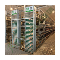 Cage à poules pondeuses en batterie de type H Tianrui en acier galvanisé automatique pour 5000 oiseaux