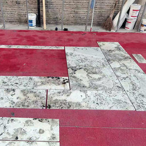 무료 샘플 천연 광택 알파인 화이트 화강암 석판 - Product Image 4