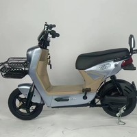 Vélo électrique populaire en Amérique du Sud, modèle 48V, biplace pour adultes, avec moteur électronique sans balais à moyeu arrière haute vitesse, personnalisé en usine