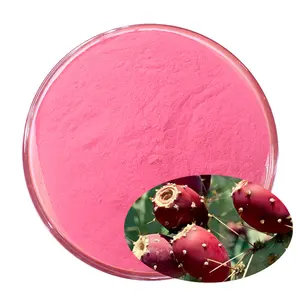 GMP-059 High Quality 20:1 prickly pear cactus Opuntia ficus-indica Nopal Leaf Extract Powder