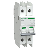 Disjoncteur MCB Acti9 Pro IC65, bornier de tunnel, UL489 Type H-10kA 2P 1A-63A Courbe D, 100% Neuf et Original