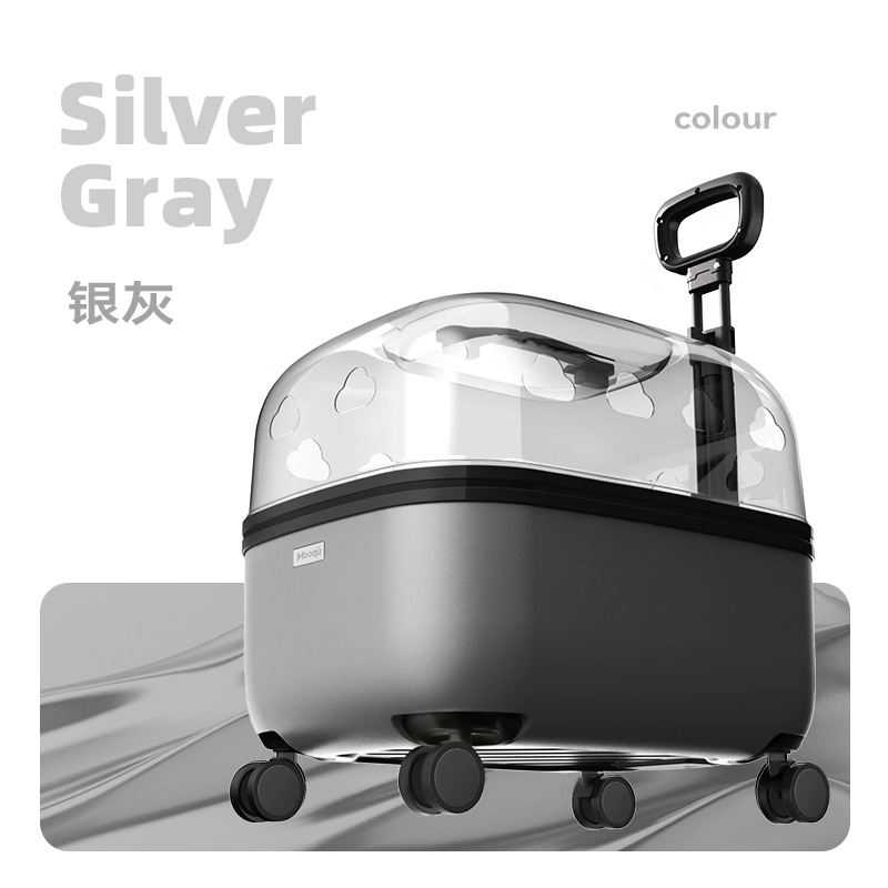 Gris argenté (transparent)