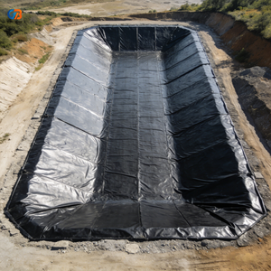Géomembrane en polyéthylène haute densité (HDPE) et PVC, 1 mm, imperméable, écologique, pour fermes de crevettes, fermes piscicoles, bassins à poissons, revêtement de barrage, durée de vie supérieure à 50 ans - Product Image 1