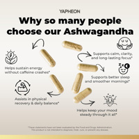 Capsule végétalienne d'Ashwagandha extra forte OEM, extrait de racine 20:1 avec poivre noir, complément alimentaire à base de plantes pour l'équilibre quotidien de l'humeur et du corps
