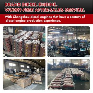 สปริงวาล์วเครื่องยนต์ดีเซล Aokai ZS1100 สูบเดียว ของใหม่ พร้อมการรับประกันหนึ่งปี - Product Image 5