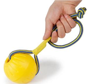 Yeni stil köpek evcil hayvan ürünleri Eva köpük Pet çiğnemek topu oyuncak Pet oyuncaklar köpek eğitim oyuncak köpek. - Product Image 2