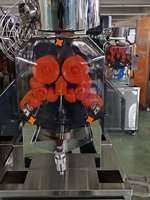 Presse-agrumes électrique automatique de haute qualité pour oranges et grenades, très vendue