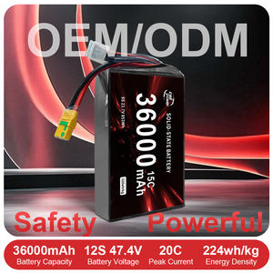 Paquete de Baterías de Estado Sólido Ligero para Drones, 35Ah 36Ah 20C, Personalizado para Drones y Aeronaves, Recargable de Alta Calidad - Product Image 2