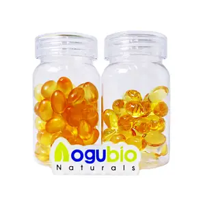 Suppléments de soins de santé en vrac VIP client usine garder la mémoire capsule multi-vitamines Moringa
