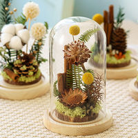 Vente en gros de fleur immortelle fleur séchée couverture en verre spécimen de plante décoration de la maison Mori est accompagné de cadeaux