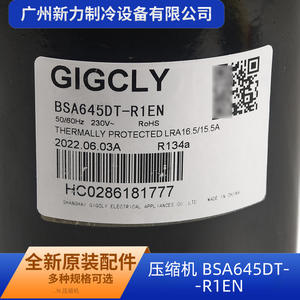 Compresor de aire acondicionado Gigcly BSA645DT-R1EN 230V R134a para reemplazo y reparación - Product Image 3