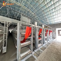 Système de cages à poulets de type H à plusieurs niveaux, équipement d'élevage automatique pour les fermes avicoles