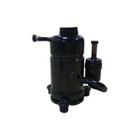 Compresseur d'eau froide réfrigérant R290 taille personnalisée compresseur de refroidisseur d'eau à défilement le plus petit pour le marché européen