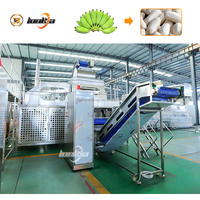 Hoge Efficiëntie 5t/u Schilmachine Industriële Aardappel Tomaat Groente Schilmachine Appel Druif Banaan Plantain Fruit Stoomschilmachine