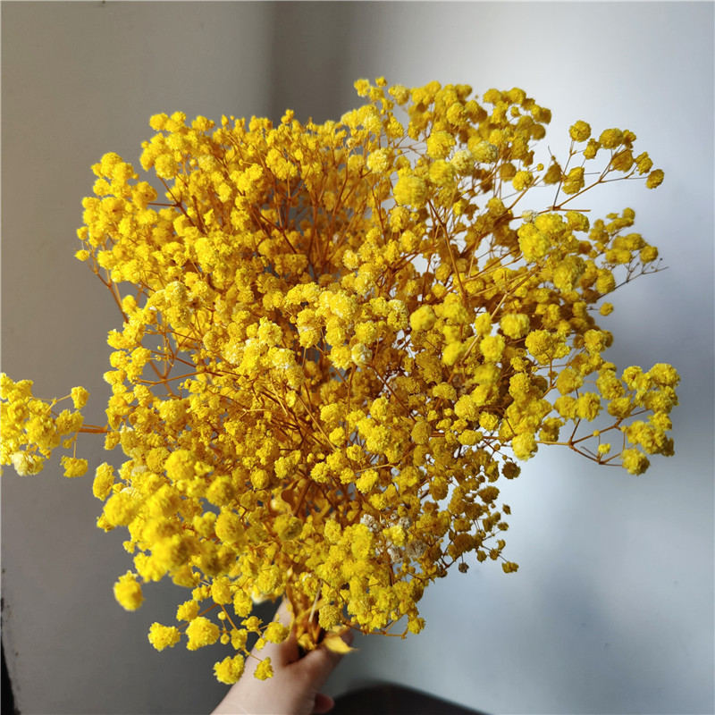 Jaune