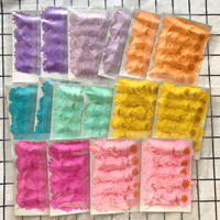 Fiori di Margherita Essiccati Non Tinti, Fiori di Margherita Veri Pressati per Resina, Unghie in Resina e Decorazioni per Scrapbook