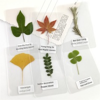 Bunga Kering Laminasi, Daun Asli, Spesimen Tanaman yang Ditekan, Penanda Buku, Label Identifikasi Daun, Kemasan Plastik Tertutup Rapat