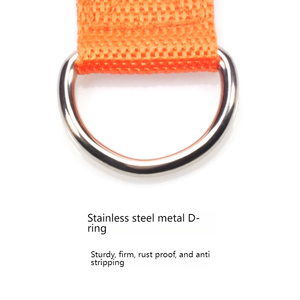 Guinzaglio di Lusso Personalizzato con <span class=keywords><strong>Logo</strong></span> del Brand, Stampa Animalier, Larghezza 2,8 cm, in Polipropilene Termoformato, per Cani, con Nastro a Tracolla e Corda di Trazione - Product Image 4