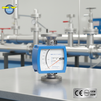 Medidor de Flujo Flotante de Tubo Metálico KY de Instalación Vertical con Pantalla LCD Inteligente, Interruptor de Límite, Certificación CE Ex Proof para Áreas Peligrosas, Protocolo HART