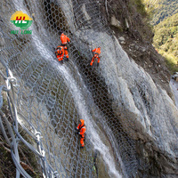 Barrière passive de protection des pentes haute résistance contre les chutes de pierres, filet en treillis métallique tissé en acier inoxydable avec soudure