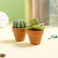 Mini kit de pot en terre cuite au design classique avec soucoupe pour la culture intérieure de plantes succulentes, de cactus et de fleurs sur le bureau