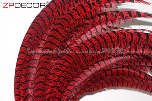 Nhà Cung Cấp Hàng Đầu ZPDECOR Bán Buôn 80-90 Cm Nhuộm Màu Đỏ Dài Số Lượng Lớn Bán Zebra Lady Amherst Chim Trĩ Đuôi Lông Cho Lễ Hội - Product Image 2