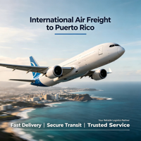 Transitaire professionnel Chine-Puerto Rico, agent d'expédition DDP porte-à-porte avec les meilleurs tarifs