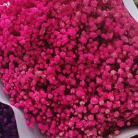 Fleurs de Gypsophile Préservées de Haute Qualité en Gros 120g pour la Décoration de la Maison, des Mariages, de la Fête des Mères et de la Saint-Valentin