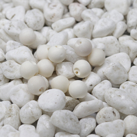 Boutons en os blanc de haute qualité en stock pour la vente en gros, pour cheongsam, tang suit, boutons décoratifs ronds personnalisés