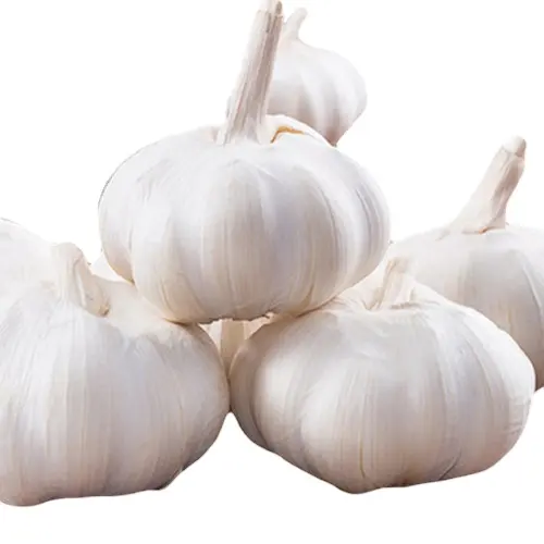 hot sale good price fresh Garlic Chinese pure white garlic in carton snow white wholesale China fresh white garlic supplier