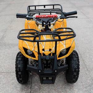 <span class=keywords><strong>Quad</strong></span> <span class=keywords><strong>49cc</strong></span> populaire chinois à 4 roues pour enfants avec CE - Product Image 3