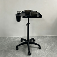 Chariot de service professionnel pour salon de coiffure avec compartiments pour outils et bols de mélange, chariot mobile pour la coiffure