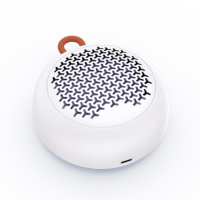 Mini haut-parleurs sans fil C160 IPX4 pour Bluetooth compatibles avec la prise en charge des smartphones pour un usage domestique du lecteur audio