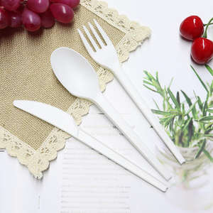 Set di Posate da Campeggio Monouso Ecologiche all'Ingrosso con Sacchetti Richiudibili in Plastica OPP e Sacchetti di Carta - Product Image 4