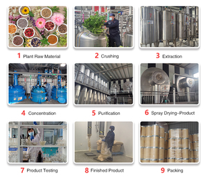 Hongda Nhà máy cung cấp nguyên liệu màu cà chua chiết xuất <span class=keywords><strong>Lycopene</strong></span> bột <span class=keywords><strong>Lycopene</strong></span> 10% - Product Image 4