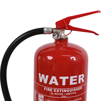 Vente chaude 9L eau feu 6L eau feu CE certificat poignée extincteur à base d'eau