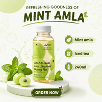 Fournisseur de thé en gros OEM ODM Nihewan Menthe & Amla Thé Oolong Quatre Saisons 240ml Boisson en bouteille Marque Privée