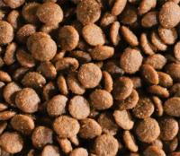 Nourriture sèche pour chiens, nutrition équilibrée, haute teneur en protéines, produits populaires, dernières nouveautés, vente en gros d'usine